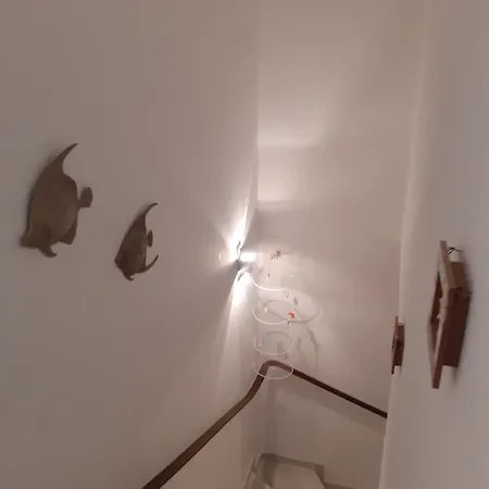 아파트 Seepferdchen 쿡스하펜