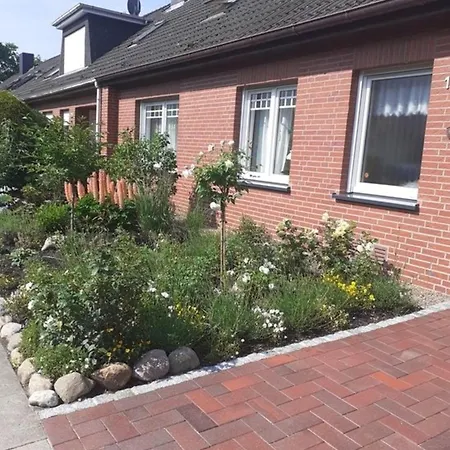 Seepferdchen Cuxhaven